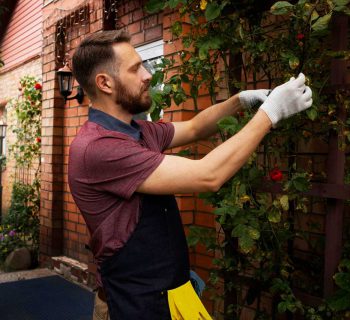 man-servant-caring-garden